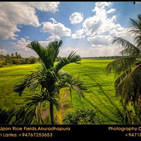 Heaven Upon Rice Fields Bed & Breakfast Anuradhapura Exterior photo